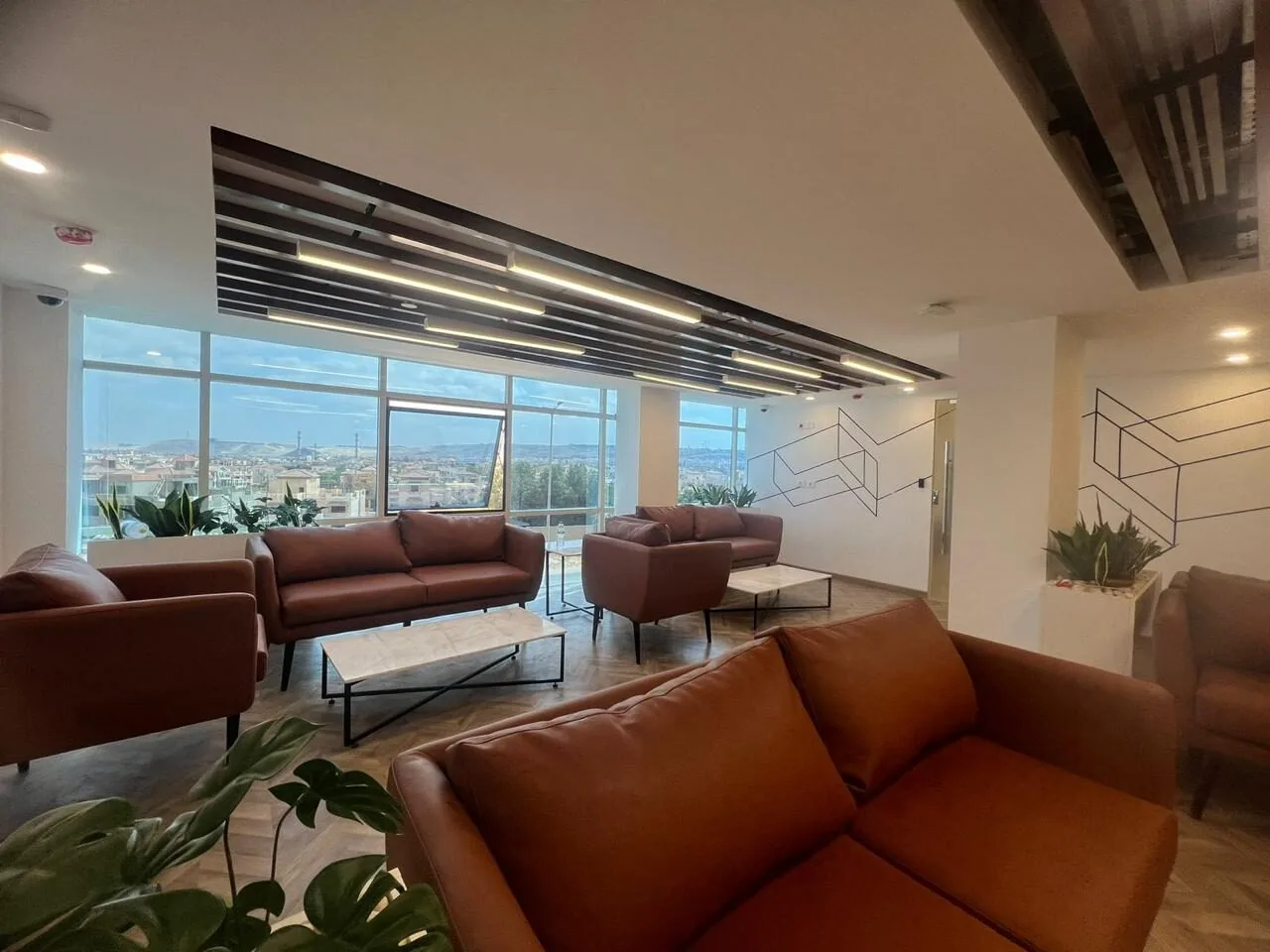 VFS Tasheel — Zayed